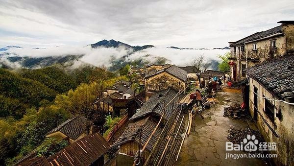 桃花灼灼，神仙妹子最爱去的地方