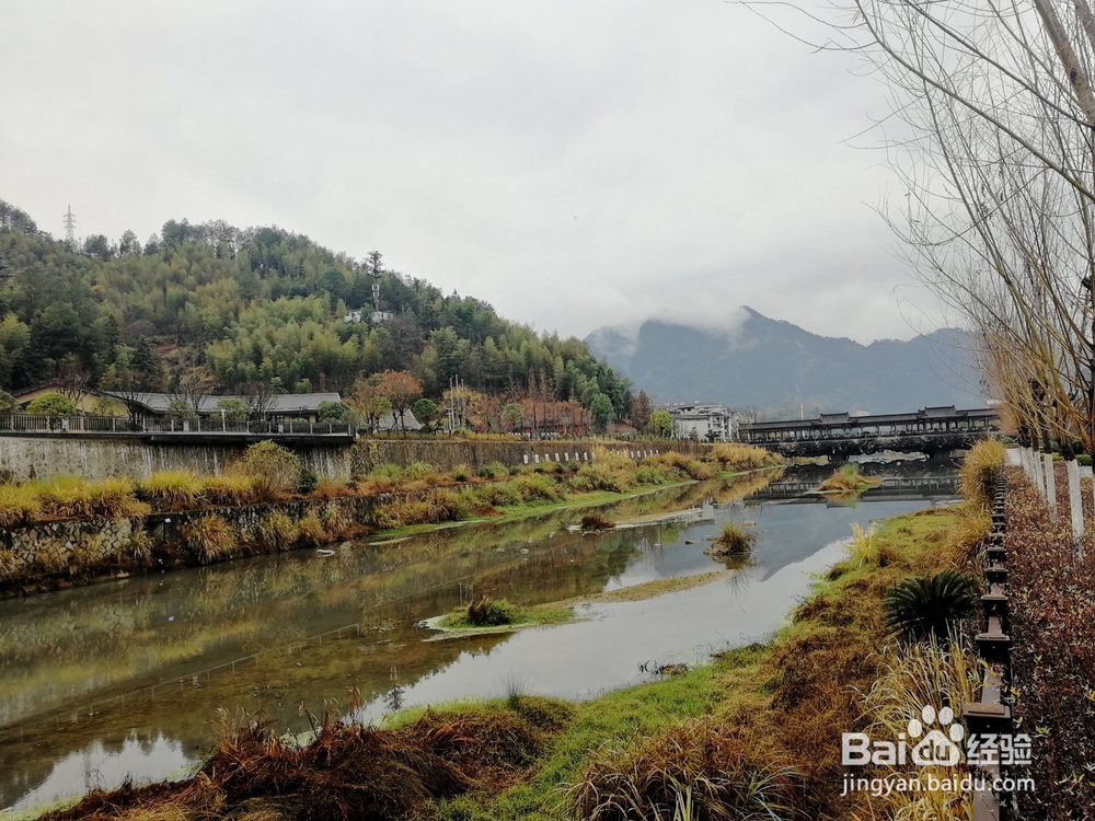 如何游览景宁县城——金园丽景小区溪边小环线