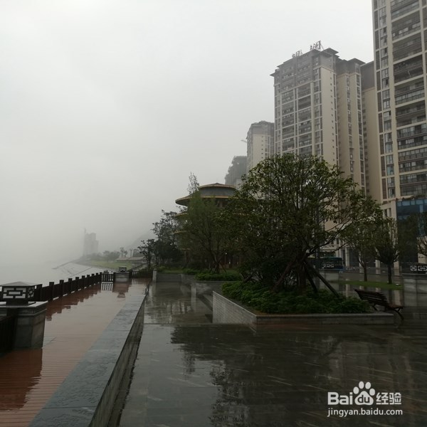 怎样应对孩子童真的心和执着的方法