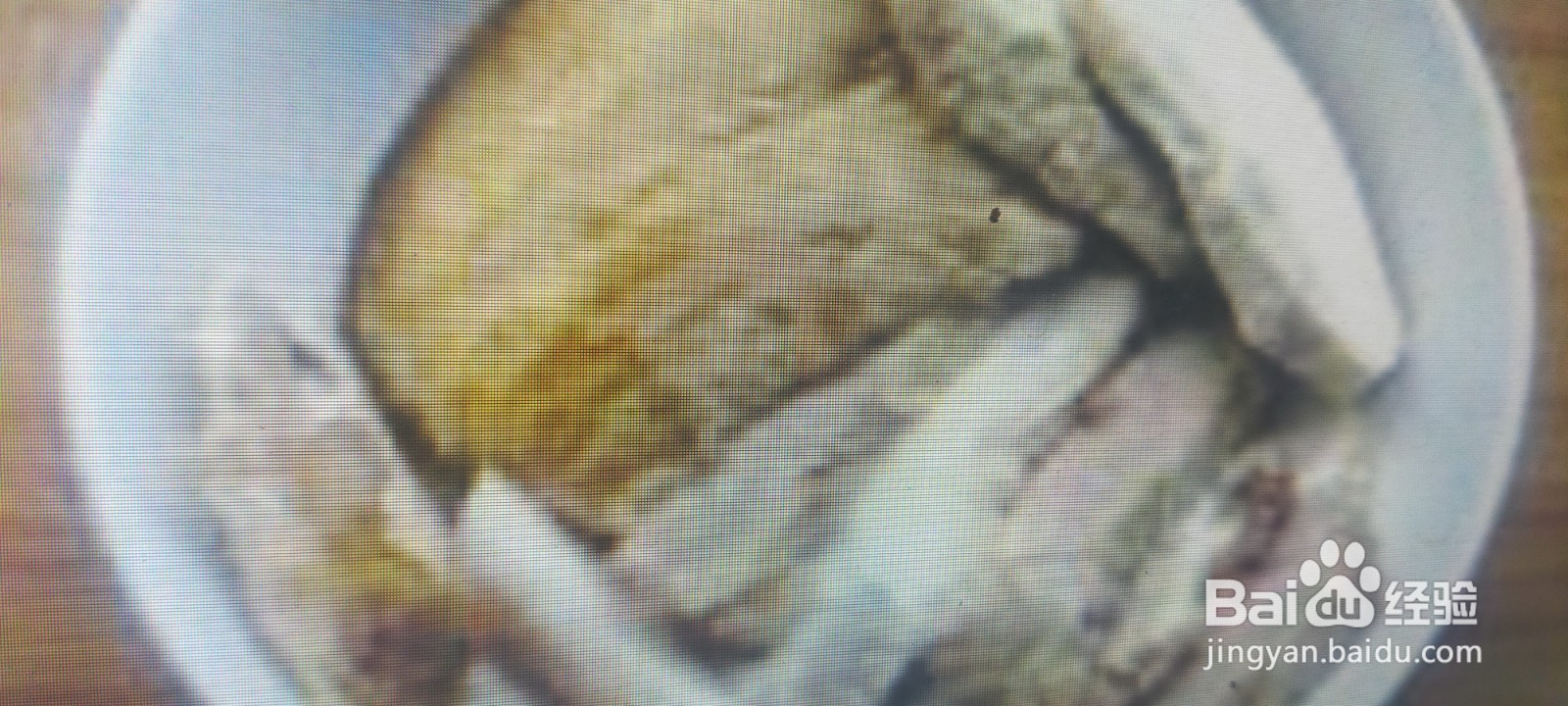 梅菜扣肉的做法