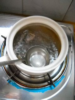 玉竹沙参炖乳鸽