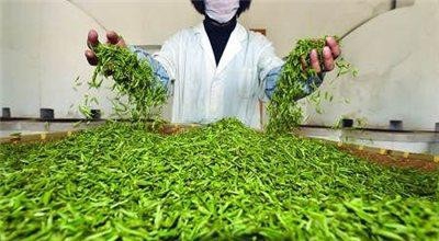 自家茶叶怎么销售