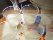 怎样自制美味的果冻