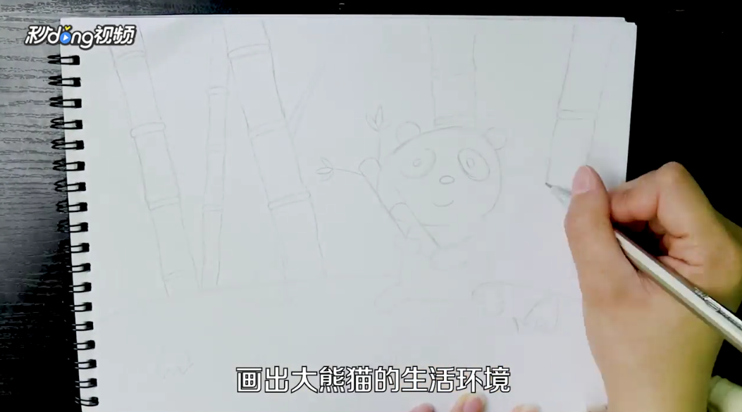 熊猫简笔画怎么画