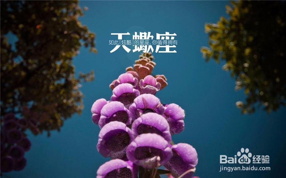 行为风格怪异的三个星座,品味与现实难搭边际