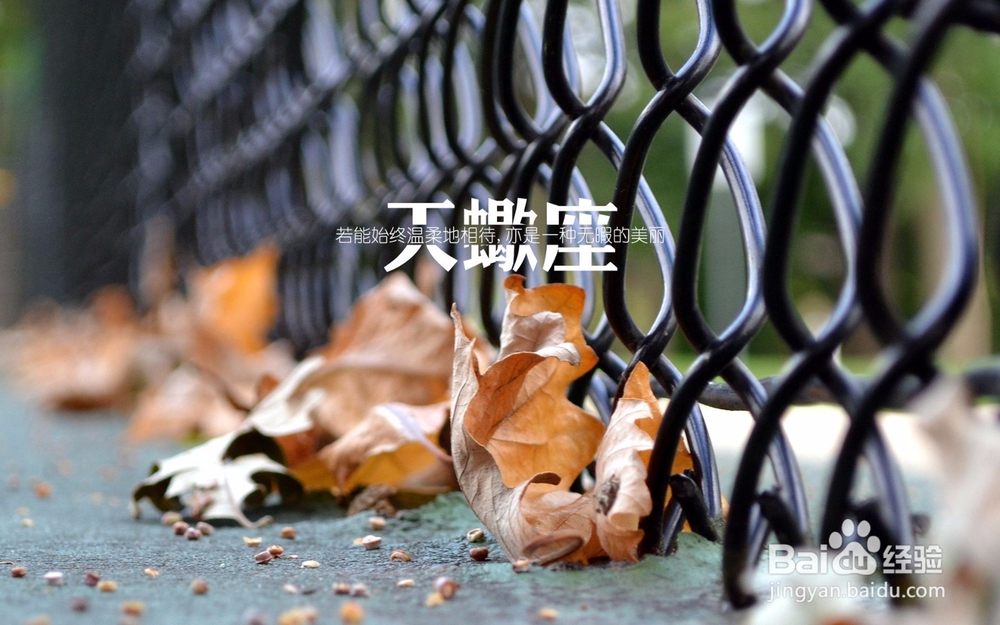 可恶,最喜欢虐单身狗的星座,你的心就不会痛吗