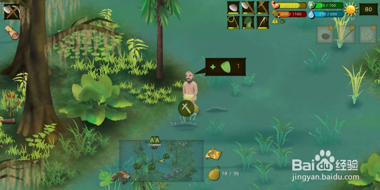 挨饿荒野（丛林沼泽）怎么种植莲藕？