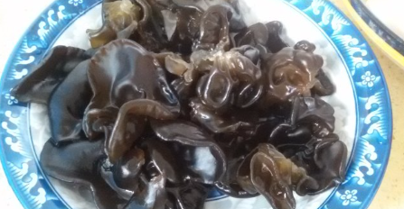 中山脆肉鲩的十八种做法是什么