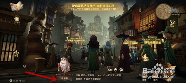 哈利波特魔法觉醒猫头鹰有什么用