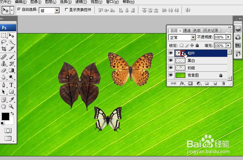 PhotoShop无损放大或缩小图片