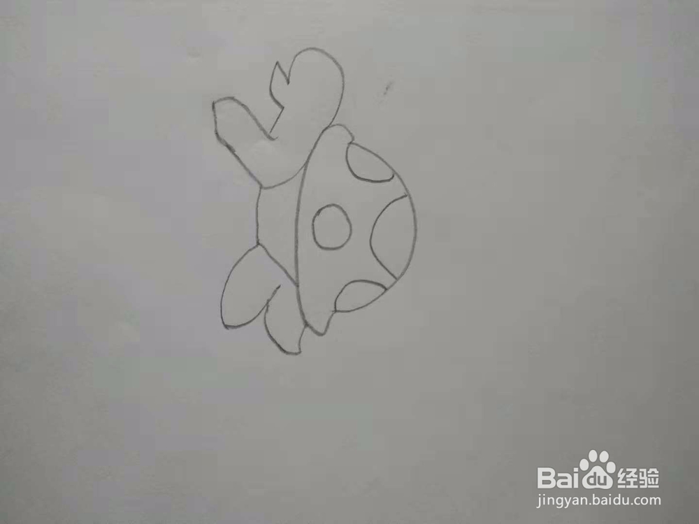 小乌龟简笔画画法