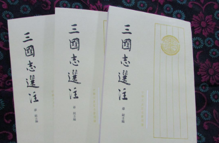 三国志注的内容简介