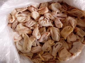 鸡肚的营养价值及功效