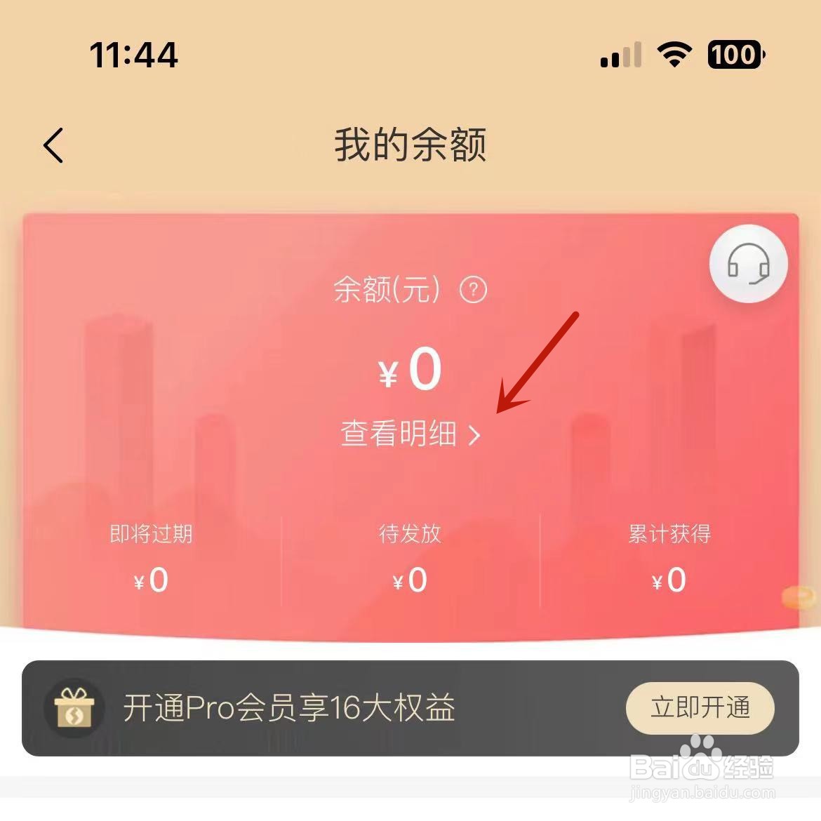 网易严选余额明细怎么查看