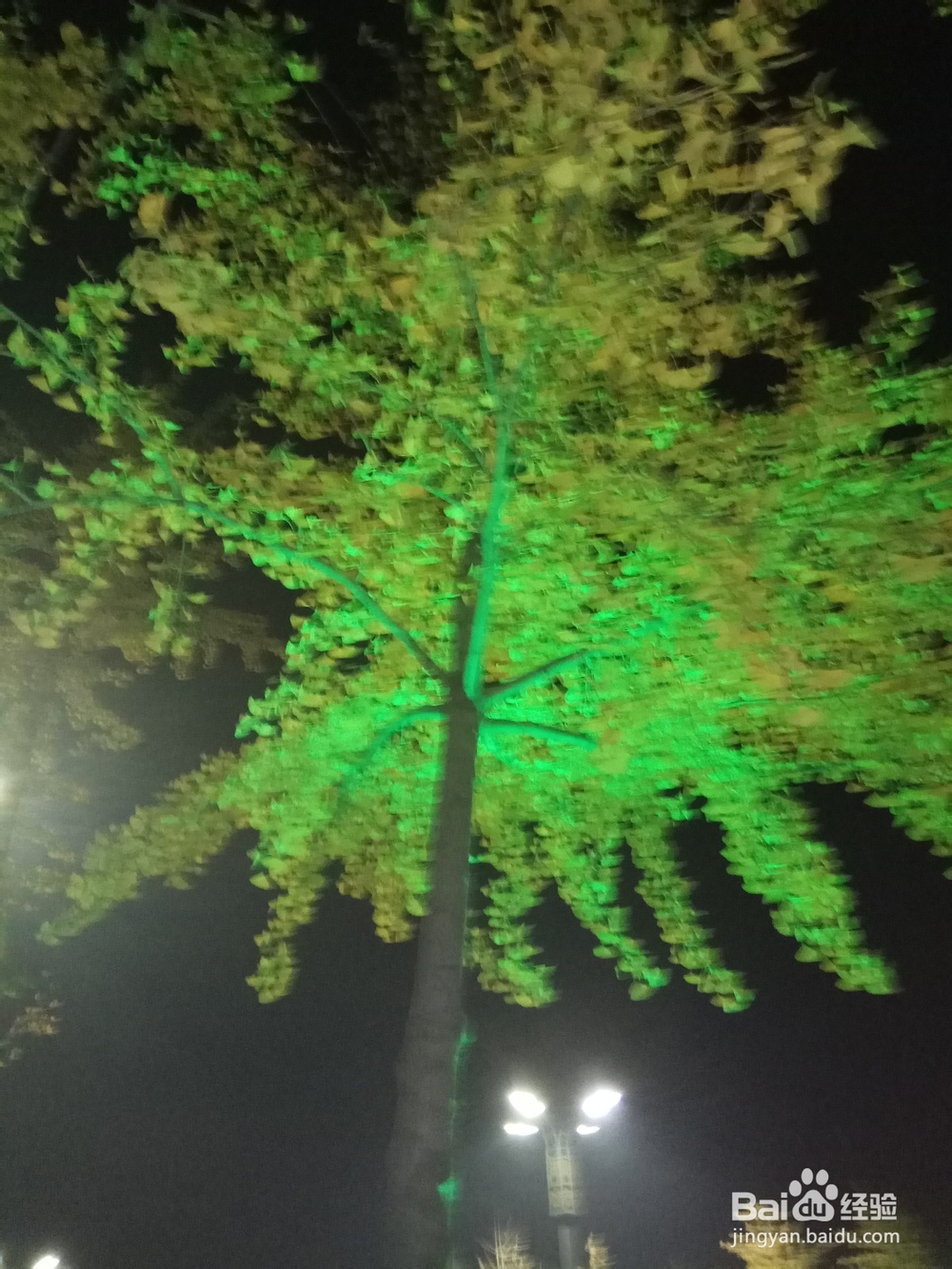 什么样的孩子适合学跳舞