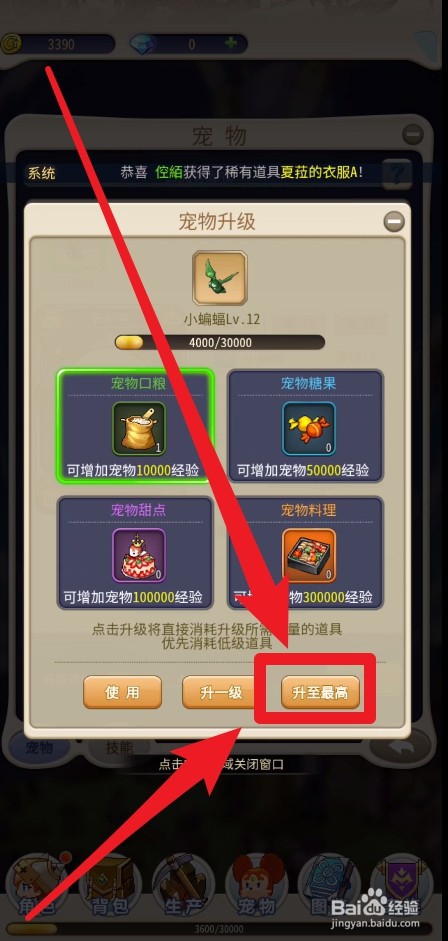 魔力宝贝归来怎么提升宠物等级