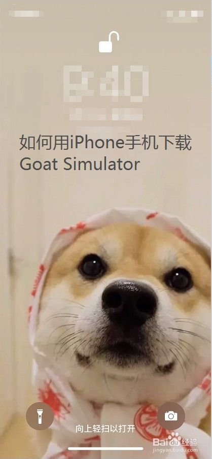 如何用iphone手机下载goat Simulator 百度经验