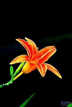 新站的整站规划