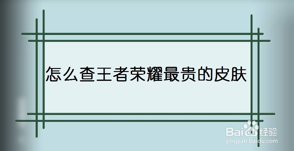 怎么查王者荣耀最贵的皮肤