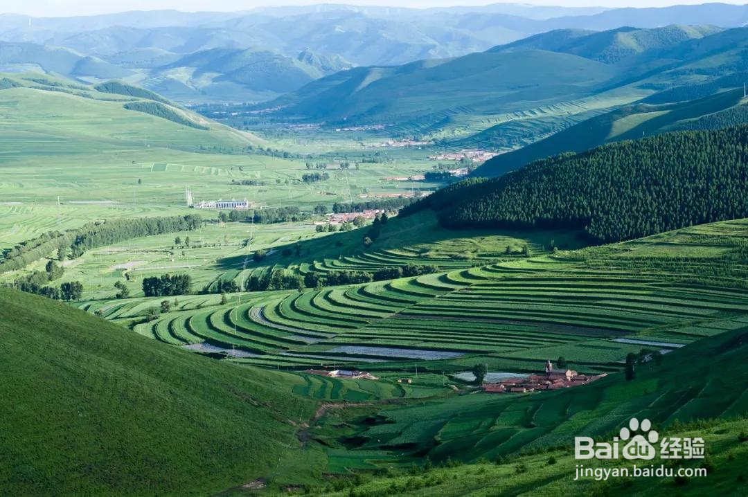 张家口草原天路自驾游攻略