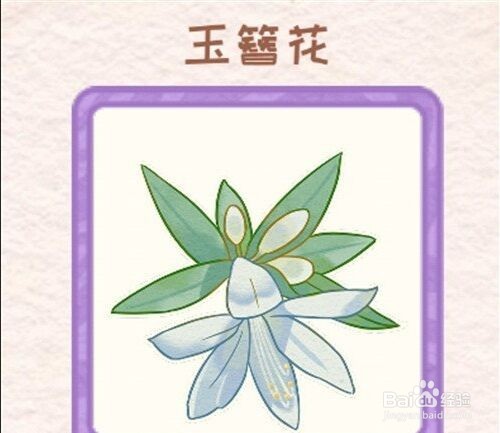 花店物语玉簪花怎么获得