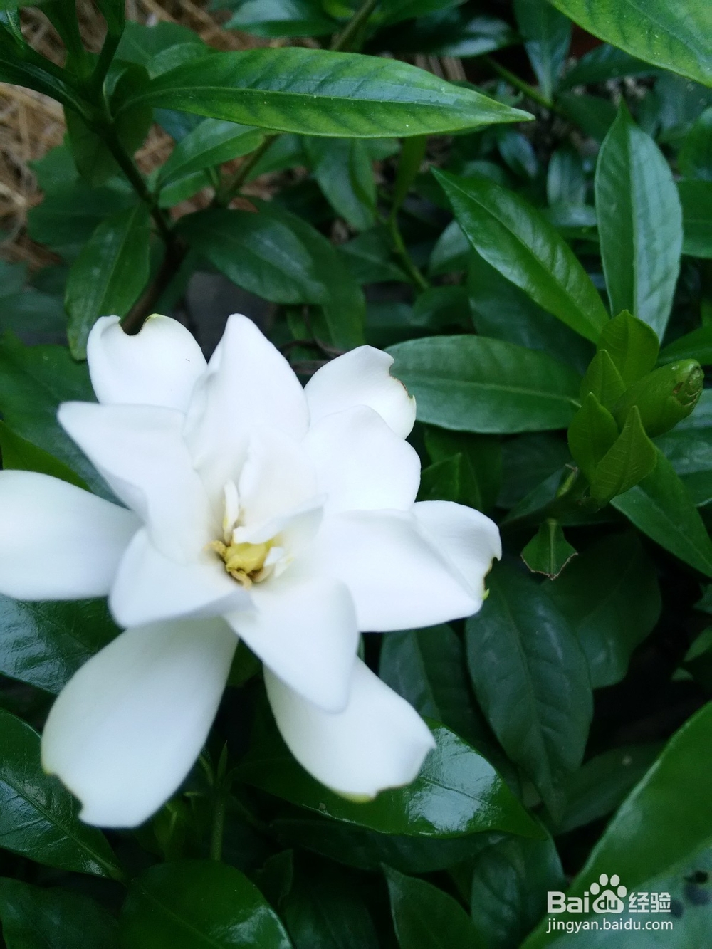 如何定格生活中的小元素?