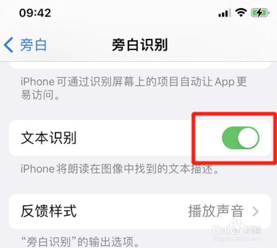 iphone旁白怎么开启文本识别