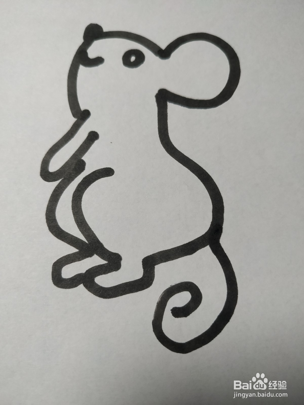 老鼠的简笔画技法35