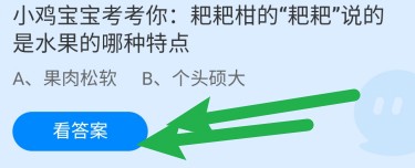 耙耙柑的“耙耙”说的是水果的哪种特点？