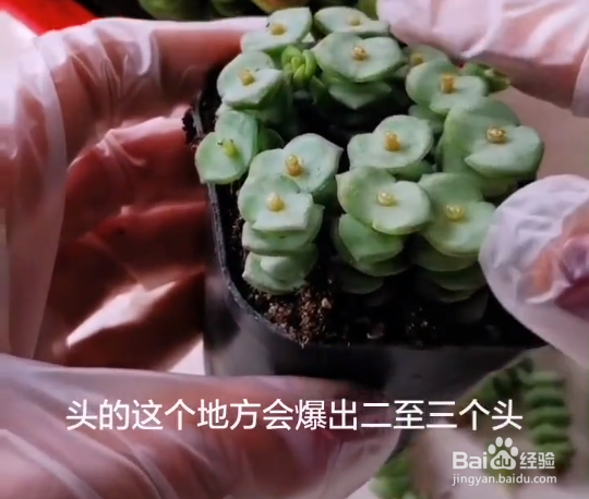 如何改善你的油性皮肤