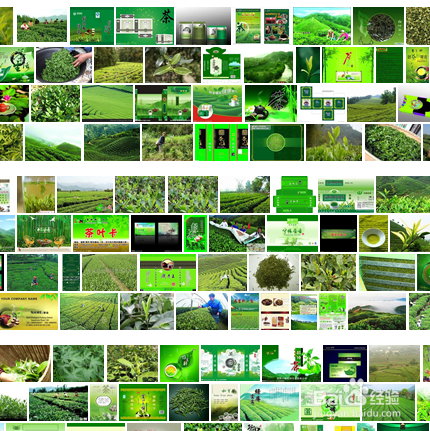 不同茶的饮用方法