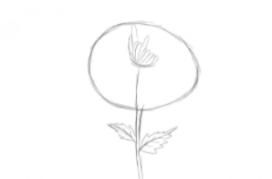 如何画一朵翠菊