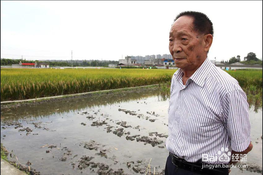 厉害我的国为题手抄报内容