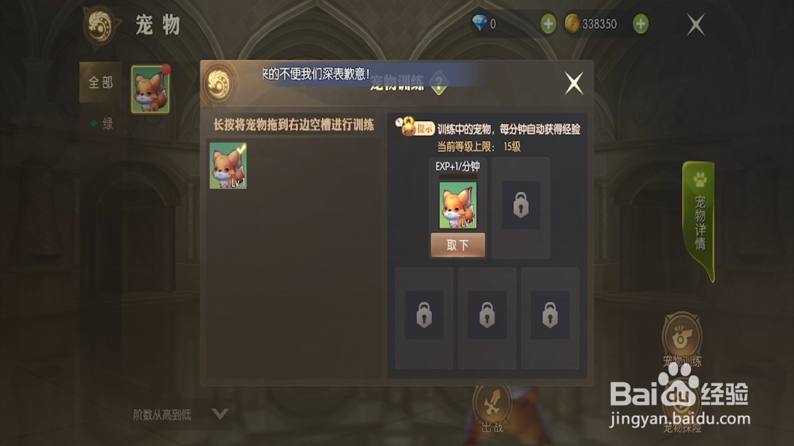 龙之谷2如何进行宠物训练
