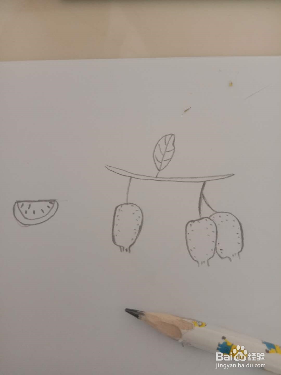简笔画 如何画猕猴桃