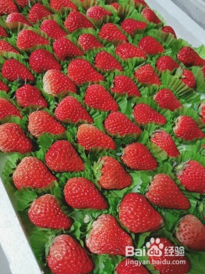 红颜草莓果酱的做法