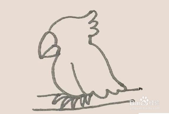 伴儿成长简笔画系列-怎样画鹦鹉简笔画