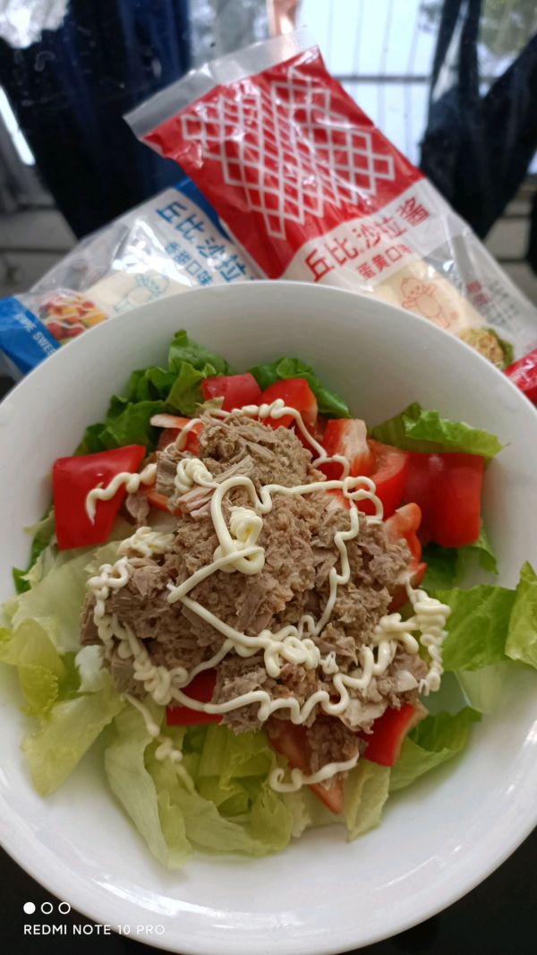 金枪鱼蔬菜沙拉