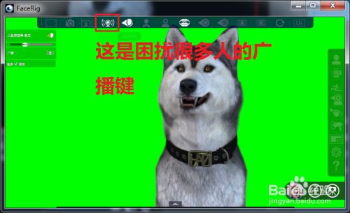 Obs添加facerig无画面怎么处理 百度经验 Obs添加facerig无画面怎么处理 百度经验
