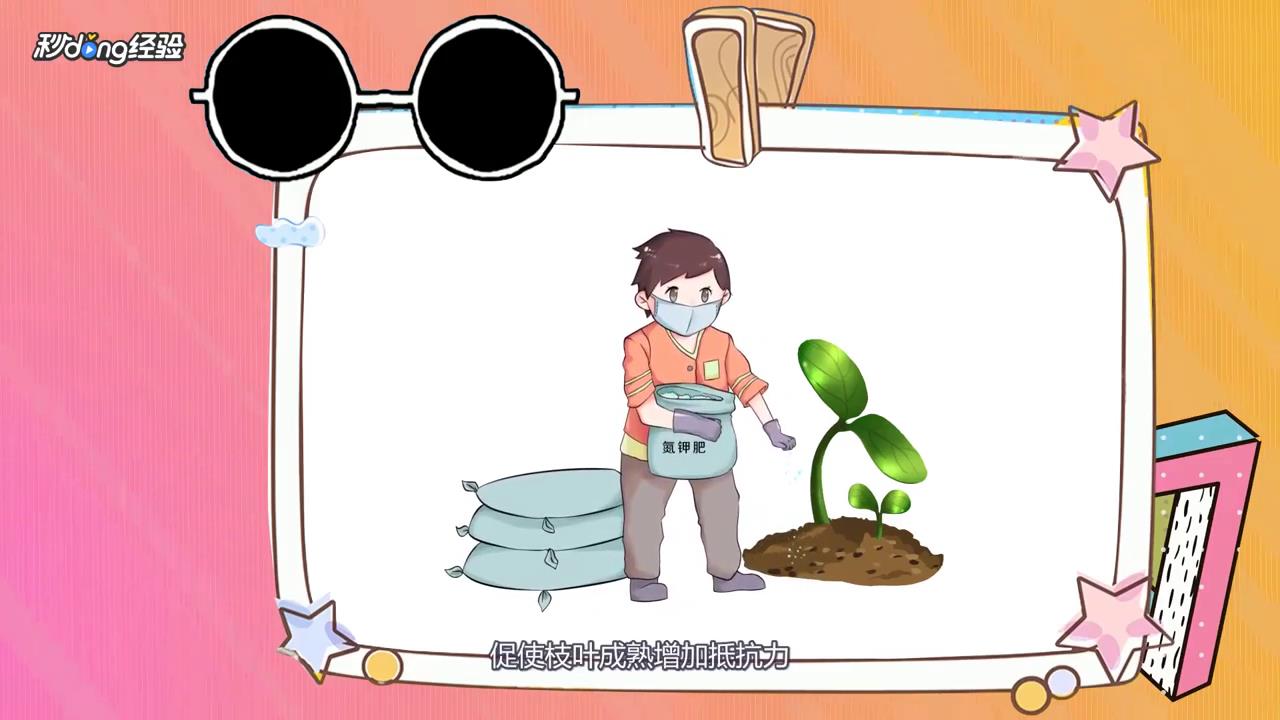 薄荷枯萎怎么救活？