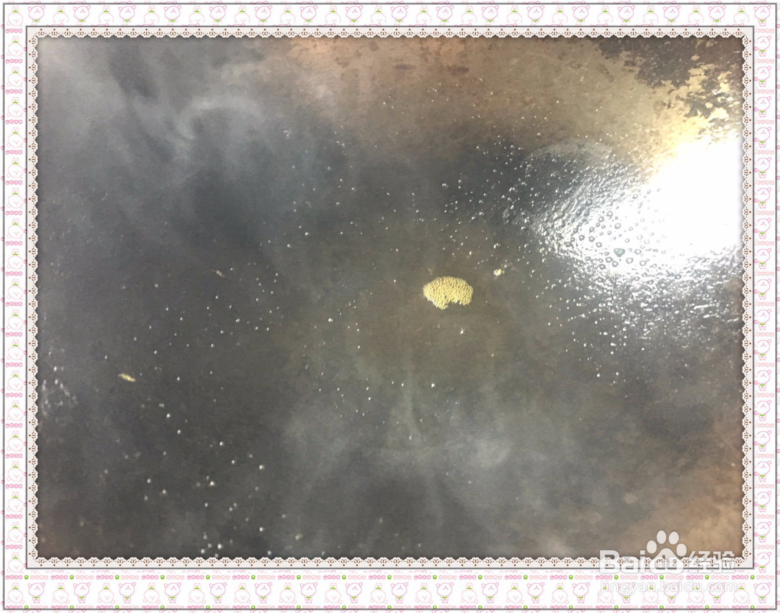 西红柿烧豆腐烫的家常做法,简单美味又营养