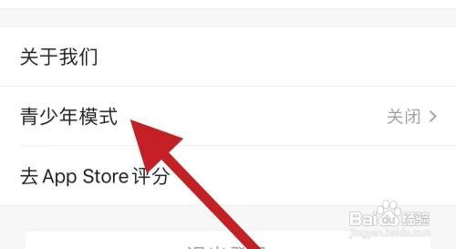 凤凰视频软件开启青少年模式怎么做