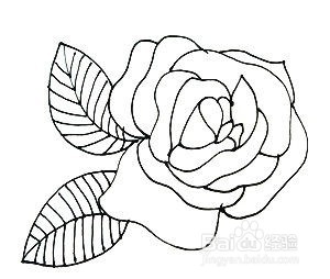 玫瑰花的简笔画