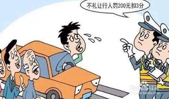 没有礼让行人怎么处理