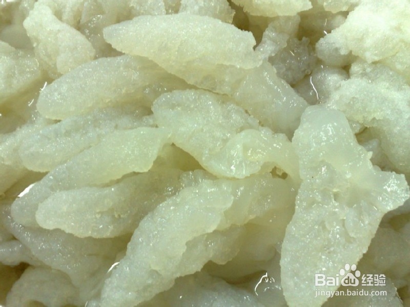 海洋减肥食品为你狂减脂让你坐立瘦