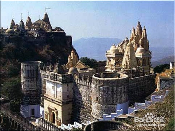 高校志愿填写建议