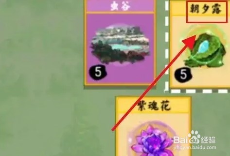 朝夕露怎么获得