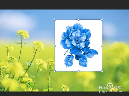 ps怎么把图片放到另一个图片上成淡化渲染效果