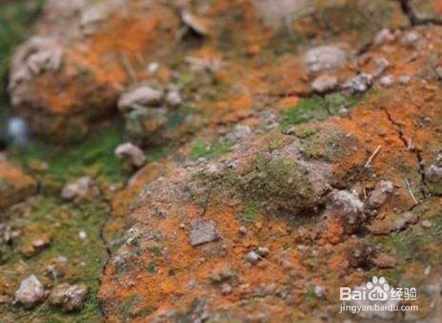 黄腐酸钾好用吗？黄腐酸钾防治土壤质地问题