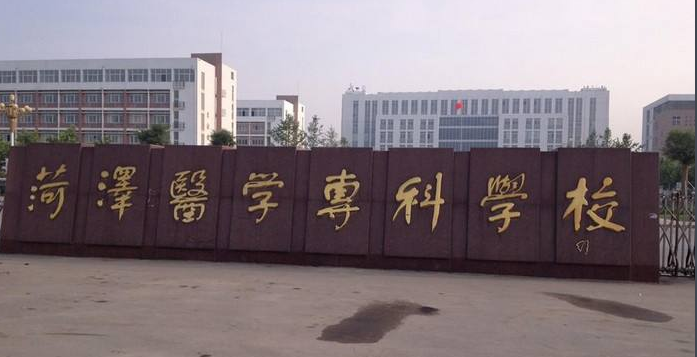 山东有哪些大专院校